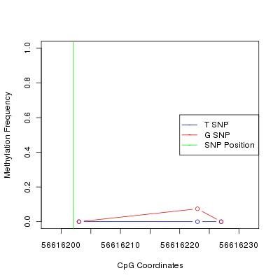 Allele Specific Methylation Frequency Diagram for chr12 56616202 SNP.