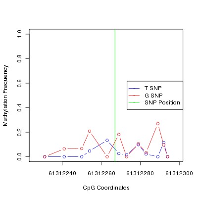 Allele Specific Methylation Frequency Diagram for chr12 61312267 SNP.