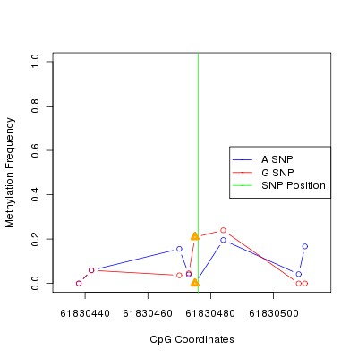 Allele Specific Methylation Frequency Diagram for chr12 61830476 SNP.