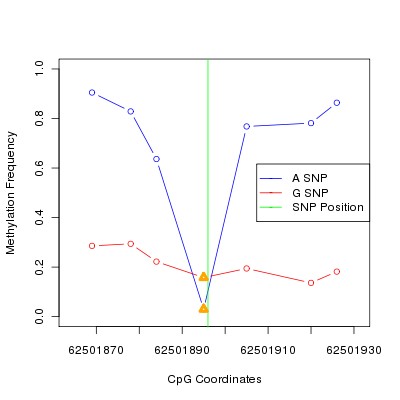 Allele Specific Methylation Frequency Diagram for chr12 62501896 SNP.