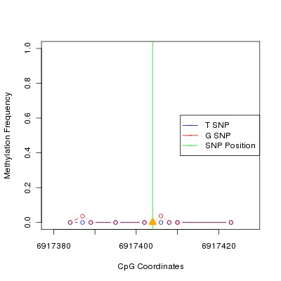 Allele Specific Methylation Frequency Diagram for chr12 6917404 SNP.