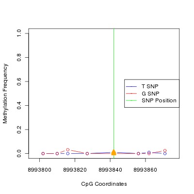 Allele Specific Methylation Frequency Diagram for chr12 8993842 SNP.