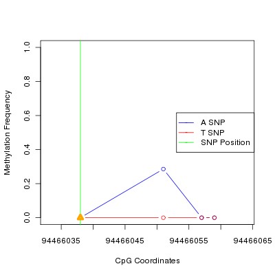 Allele Specific Methylation Frequency Diagram for chr12 94466038 SNP.