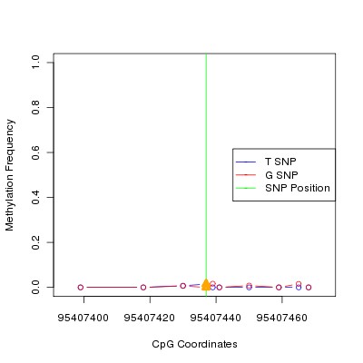 Allele Specific Methylation Frequency Diagram for chr12 95407437 SNP.