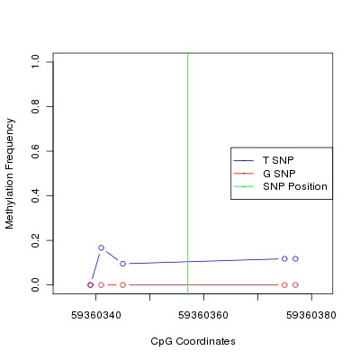 Allele Specific Methylation Frequency Diagram for chr19 59360357 SNP.