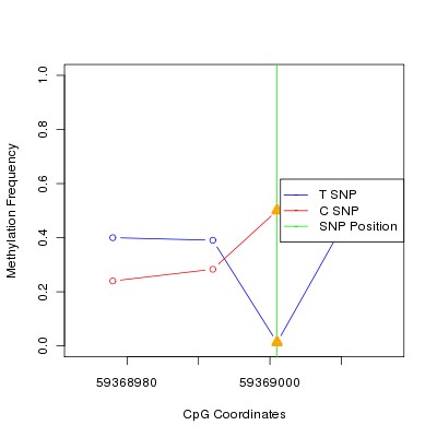 Allele Specific Methylation Frequency Diagram for chr19 59369001 SNP.