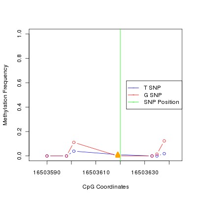 Allele Specific Methylation Frequency Diagram for chr20 16503620 SNP.