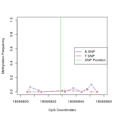 Allele Specific Methylation Frequency Diagram for chr20 18066829 SNP.