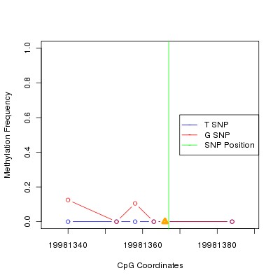 Allele Specific Methylation Frequency Diagram for chr20 19981367 SNP.