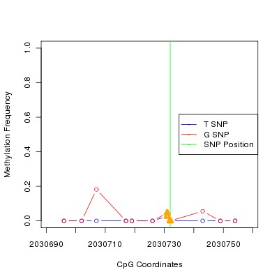 Allele Specific Methylation Frequency Diagram for chr20 2030732 SNP.