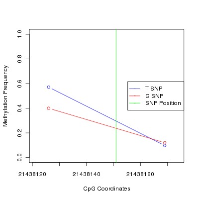 Allele Specific Methylation Frequency Diagram for chr20 21438151 SNP.