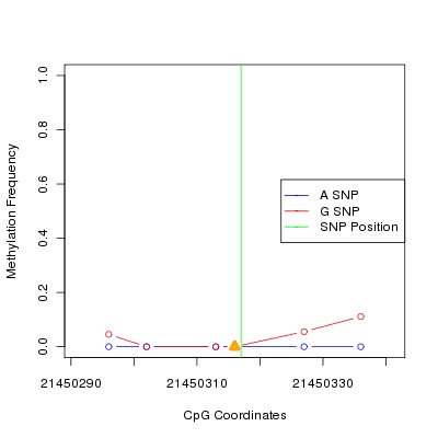 Allele Specific Methylation Frequency Diagram for chr20 21450317 SNP.