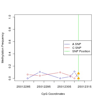 Allele Specific Methylation Frequency Diagram for chr20 25012312 SNP.