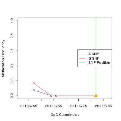 Allele Specific Methylation Frequency Diagram for chr20 26136782 SNP.