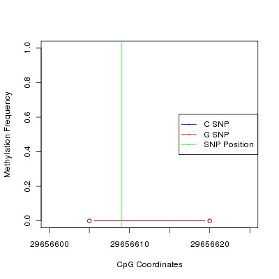 Allele Specific Methylation Frequency Diagram for chr20 29656609 SNP.
