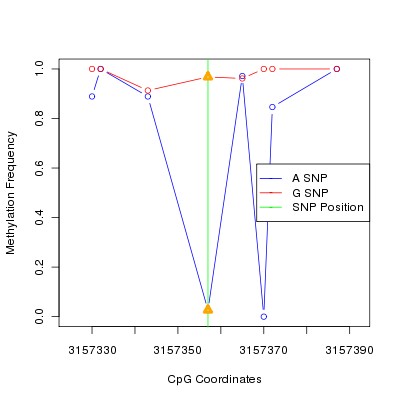 Allele Specific Methylation Frequency Diagram for chr20 3157357 SNP.