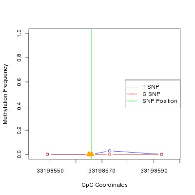 Allele Specific Methylation Frequency Diagram for chr20 33198566 SNP.