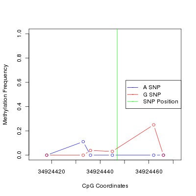 Allele Specific Methylation Frequency Diagram for chr20 34924447 SNP.