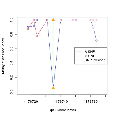 Allele Specific Methylation Frequency Diagram for chr20 4176735 SNP.