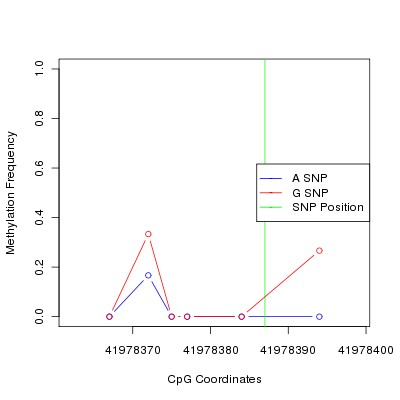 Allele Specific Methylation Frequency Diagram for chr20 41978387 SNP.