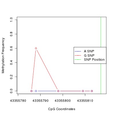 Allele Specific Methylation Frequency Diagram for chr20 43355817 SNP.