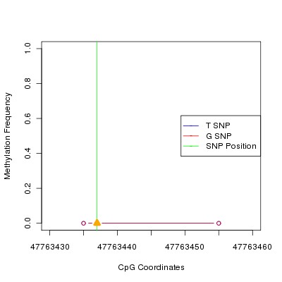 Allele Specific Methylation Frequency Diagram for chr20 47763437 SNP.