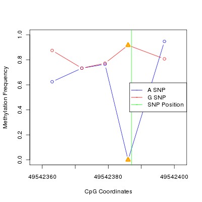 Allele Specific Methylation Frequency Diagram for chr20 49542387 SNP.