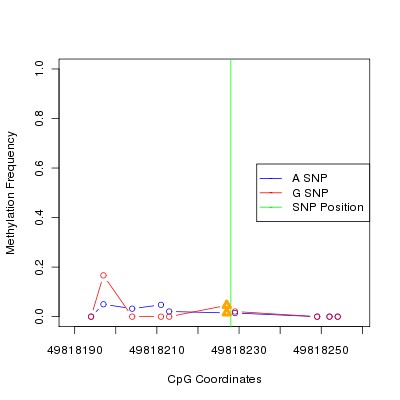 Allele Specific Methylation Frequency Diagram for chr20 49818228 SNP.