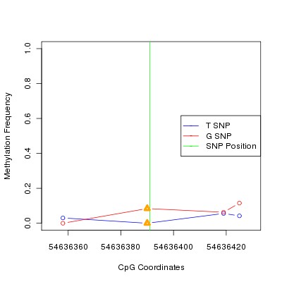 Allele Specific Methylation Frequency Diagram for chr20 54636391 SNP.