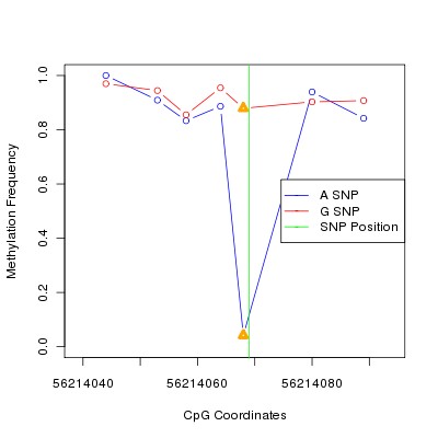 Allele Specific Methylation Frequency Diagram for chr20 56214069 SNP.