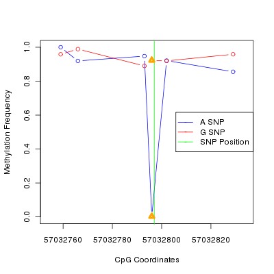 Allele Specific Methylation Frequency Diagram for chr20 57032797 SNP.