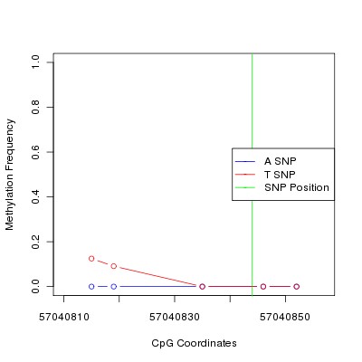 Allele Specific Methylation Frequency Diagram for chr20 57040844 SNP.