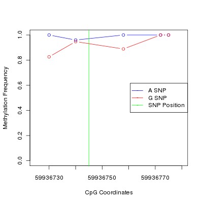 Allele Specific Methylation Frequency Diagram for chr20 59936745 SNP.
