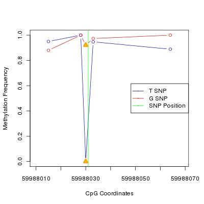 Allele Specific Methylation Frequency Diagram for chr20 59988031 SNP.