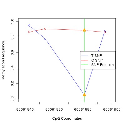 Allele Specific Methylation Frequency Diagram for chr20 60061881 SNP.