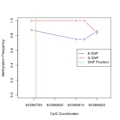 Allele Specific Methylation Frequency Diagram for chr20 60386791 SNP.