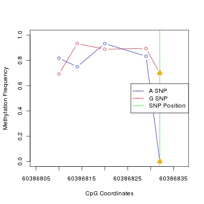 Allele Specific Methylation Frequency Diagram for chr20 60386832 SNP.