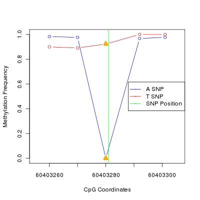 Allele Specific Methylation Frequency Diagram for chr20 60403281 SNP.