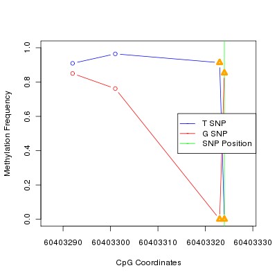 Allele Specific Methylation Frequency Diagram for chr20 60403324 SNP.