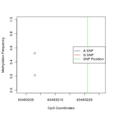 Allele Specific Methylation Frequency Diagram for chr20 60483226 SNP.