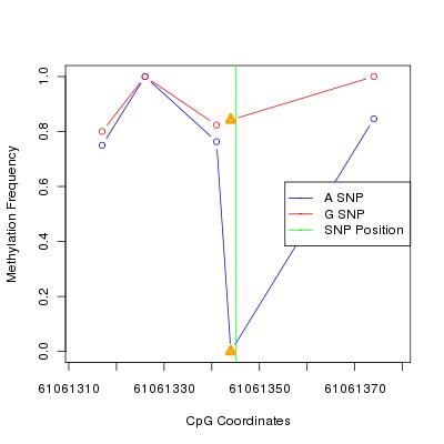 Allele Specific Methylation Frequency Diagram for chr20 61061345 SNP.