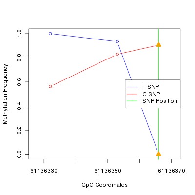 Allele Specific Methylation Frequency Diagram for chr20 61136366 SNP.