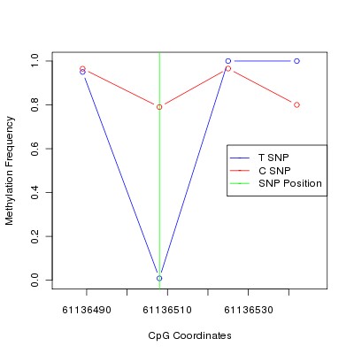 Allele Specific Methylation Frequency Diagram for chr20 61136508 SNP.
