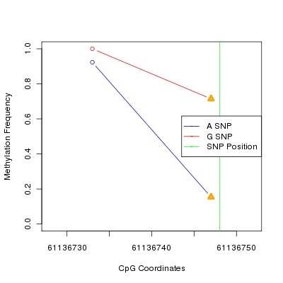 Allele Specific Methylation Frequency Diagram for chr20 61136748 SNP.