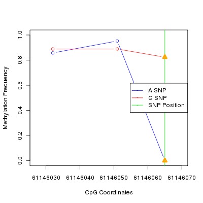 Allele Specific Methylation Frequency Diagram for chr20 61146065 SNP.