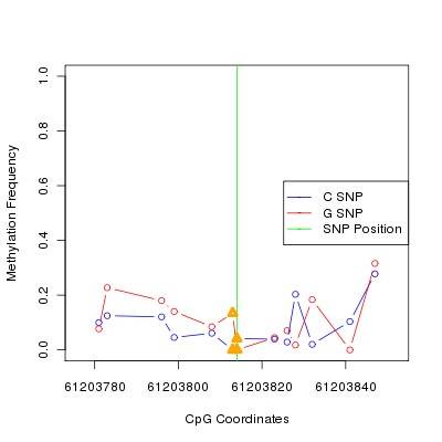 Allele Specific Methylation Frequency Diagram for chr20 61203814 SNP.