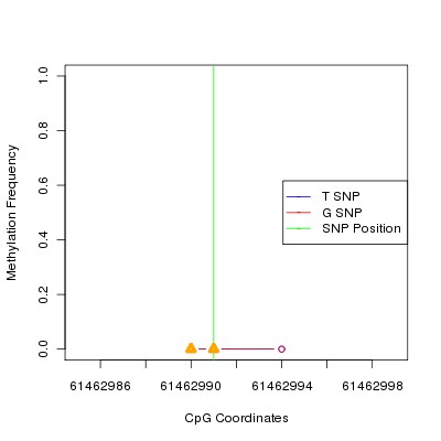 Allele Specific Methylation Frequency Diagram for chr20 61462991 SNP.