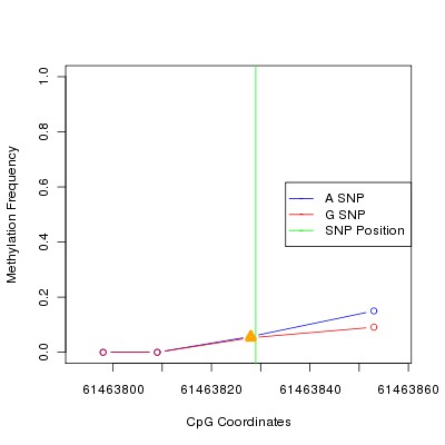 Allele Specific Methylation Frequency Diagram for chr20 61463829 SNP.