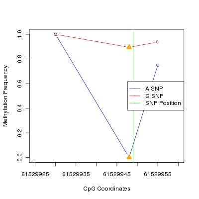 Allele Specific Methylation Frequency Diagram for chr20 61529949 SNP.