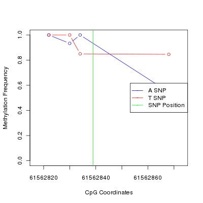 Allele Specific Methylation Frequency Diagram for chr20 61562839 SNP.